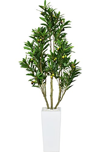 インテリアに映える 緑のある生活を送りたい人におすすめのフェイクグリーン5選 Getnavi Web ゲットナビ