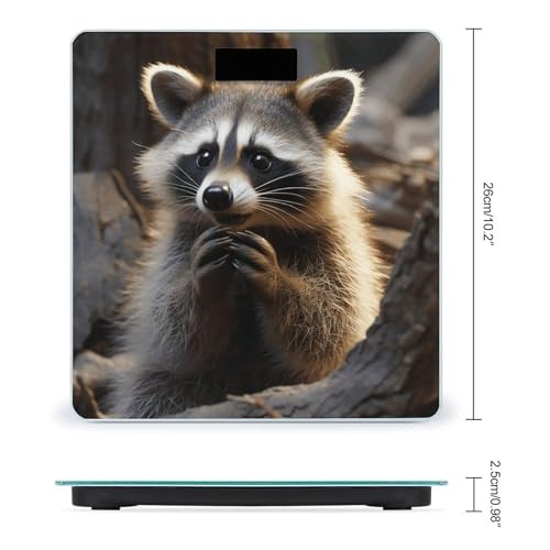 Báscula Digital Corporal Cute Raccoon con Plataforma de Vidrio miniatura 2