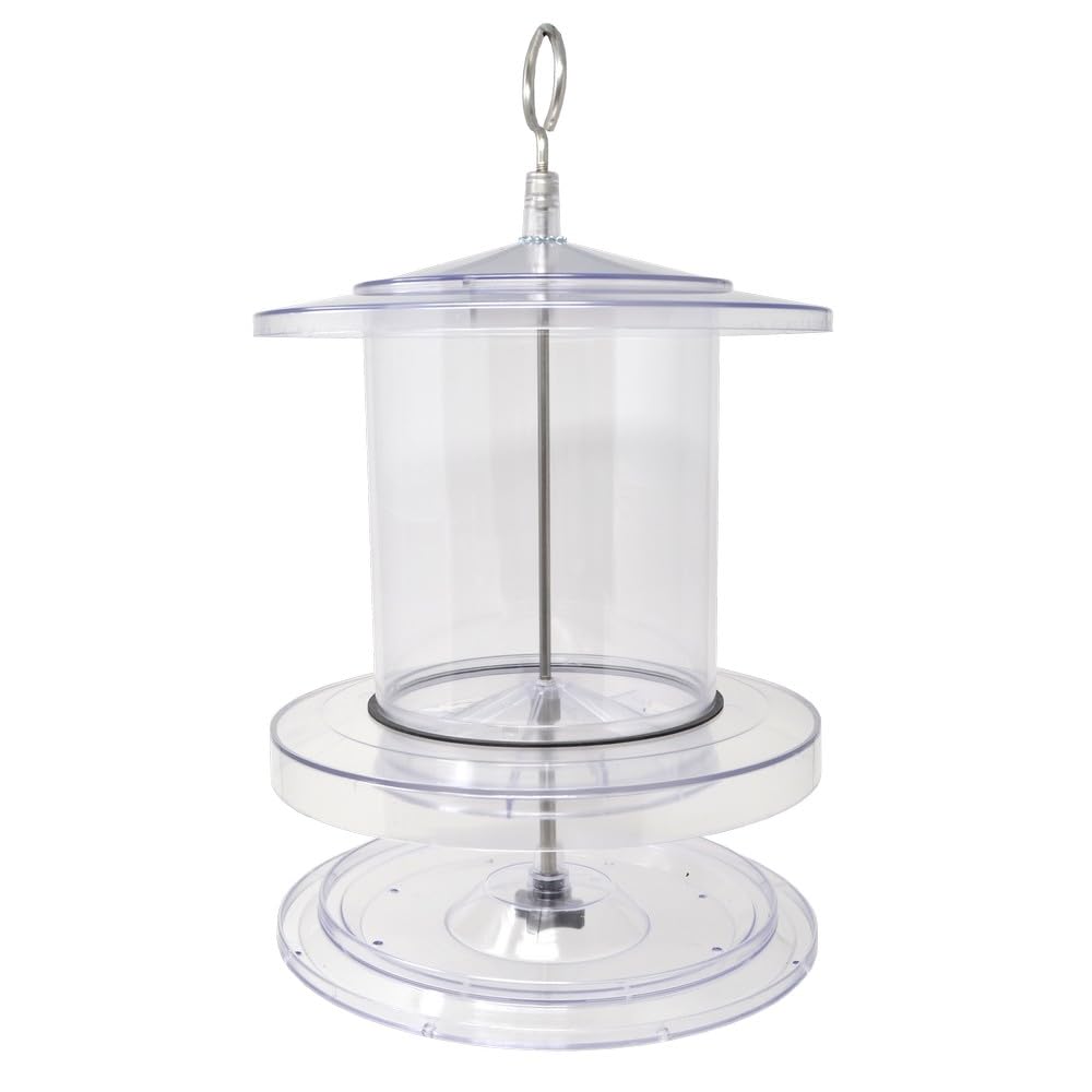 Amazon.com : Songbird Essentials SEAWFFF734 Clear 4qt All
