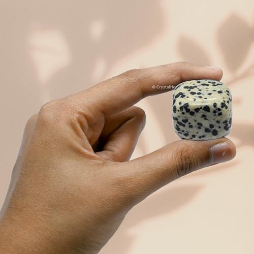 Image of Certified Dalmatian jasper Crystal Healing Tumbled Stone, Natural Polished Crystals for DIY Crafts, Manifestation, Meditation, Pooja Feng Shui and Reiki Healing (30 Grams)