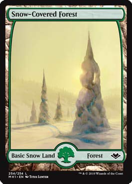 Amazon.com: Magic: The Gathering - Snow-Covered Forest