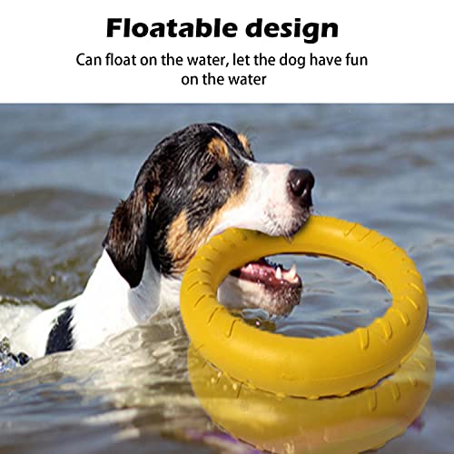 Indestructible Dog Toys Dog Chew Toy for Aggressive Chewers Flying Discs for Medium/Large Breeds Dog Training Ring,Floating Dog Ring Toys for Throwing,Catching, Flying Lightweight Dog Toy Indestructible Dog Toys Dog Chew Toy for Aggressive Chewers Flying Discs for Medium/Large Breeds Dog Training Ring,Floating Dog Ring Toys for Throwing,Catching, Flying Lightweight Dog Toy