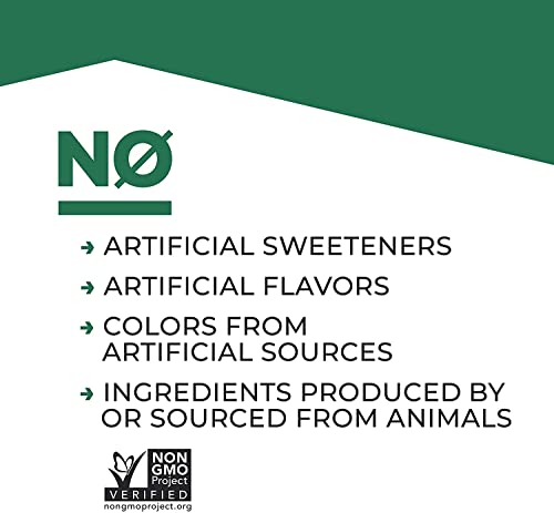 Evolve Plant Based Protein Shake, Double Chocolate, 20G Vegan Protein, Dairy Free, No Artificial Sweeteners, Non-Gmo, 10G Fiber, 11Oz, (4 Pack) #TOP4