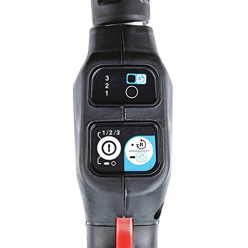 Cordless Grass Trimmer with 2 Batteries