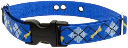 LupinePet Originals 1" Dapper Dog 12-17" Containment Collar Strap for Medium Dogs