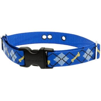 dapper dog collars