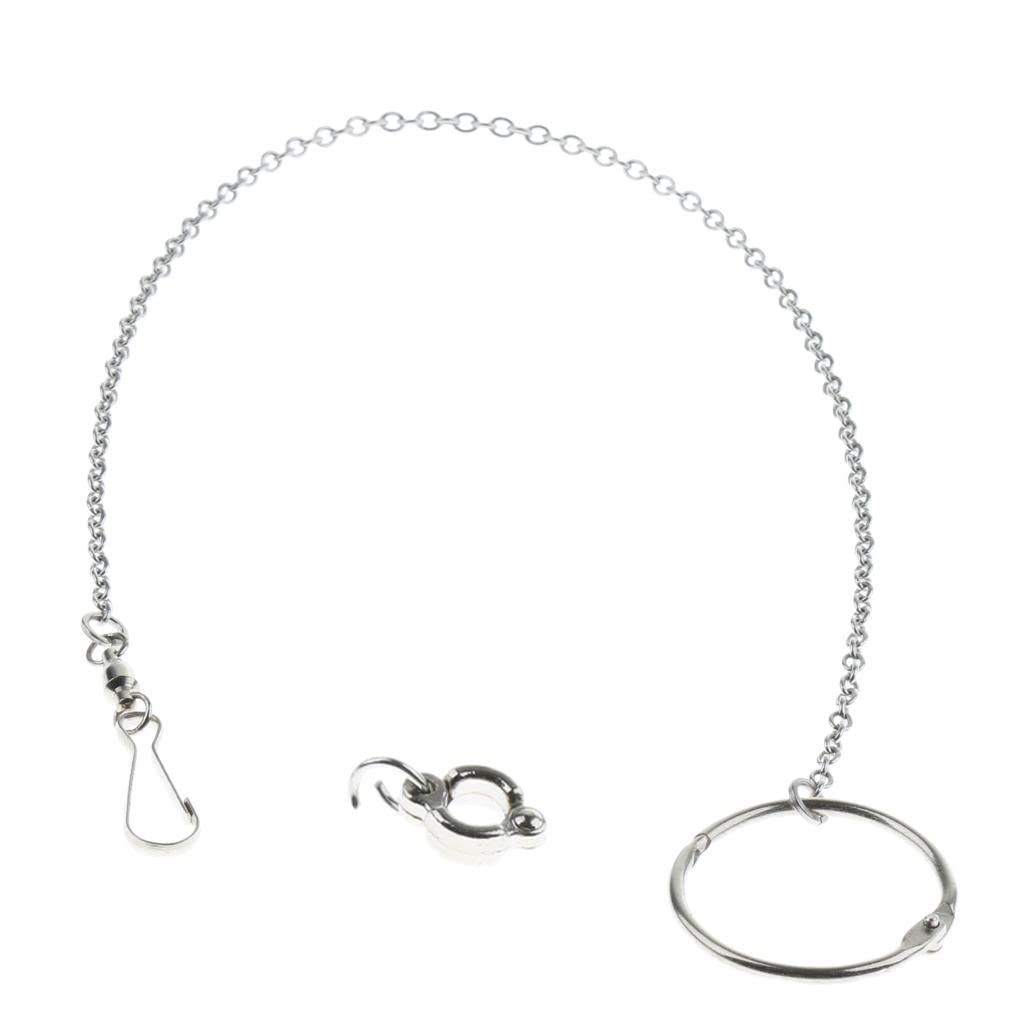 Loom Tree® Parrot Stainless Steel Eight-Ring Anklet Pet Bird Cockatiel Foot Chain 10|Other Bird Supplies (B0B1885VSD) Amazon Price History, Amazon Price Tracker