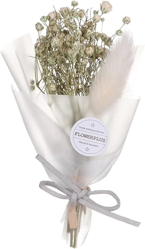 Flor seca natural para decoración y fotografía miniatura 6