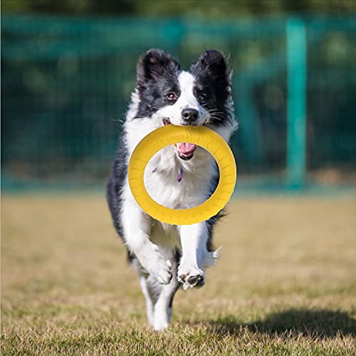 MMSGA Fitness-Ring für Hunde, Outdoor-Spiel Agility Trainingsgerät, Interaktiver Trainingsring für Kleine, Mittelgroße und Große Hunde (Gelb, 30CM)
