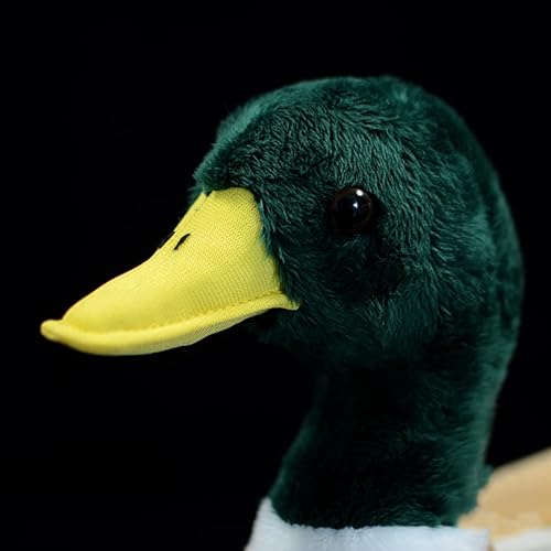 Tiny Heart Mallard duck Animal Plush Toy 13in, Soft Duck Plush Toy Simulation Series - Image 4