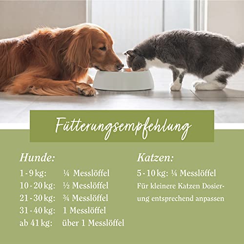 Sanct Bernhard tierlieb Kollagen-Pulver | Für Hunde & Katzen | Geprüftes, biologisch aktives Kollagen-Hydrolysat | 400g