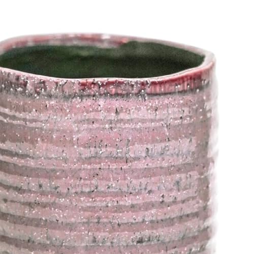 Ivyline Chambray Reactive Rustic Planter in Rose, Lightweight and Stylish - Image 3
