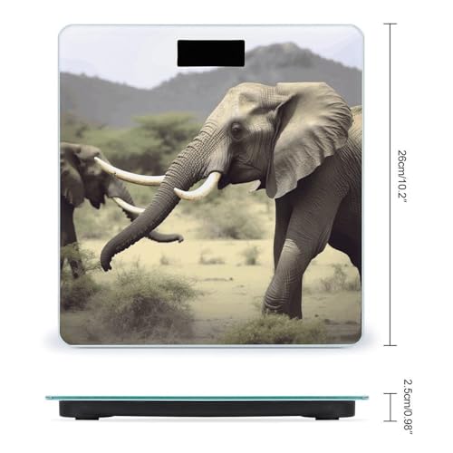 Elephants Animals Balanzas Digitales de Baño con LCD miniatura 2