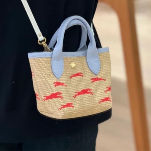 Straw Purse Straw Bag Embroidery Bag Woven Bag Straw Dumpling Bag Crossbody Bag For Women Shoulder Bag Straw Purses3