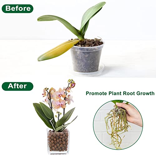 10Lbs Clay Pebbles Leca For Plants, Leca Balls Clay Balls Plant Garden Soil, Expanded Clay Pebbles For Hydroponic Aquaponics Growing, Orchid Potting Mix Soil #TOP3