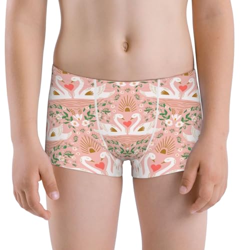 Boys' Cotton Boxer Brief Soft Underwear-Swan Couple