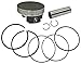 NAMURA NA-10045 Standard Piston Kit for Sportrax 450R