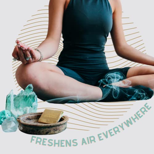 10 Pack Incense Matches: Variety Pack - Eliminates Bathroom Odors While A Adding Pleasant Aroma - 30 Light per Matchbook, 300 Lights per Purchase - Thumbnail 6