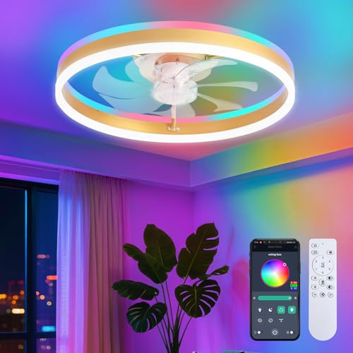 STERREN RGB Ceiling Fan with Light, 20'' Low Profile Ceiling