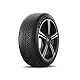 Reifen Winter Michelin Pilot Alpin 5 315/30 R21 105V XL
