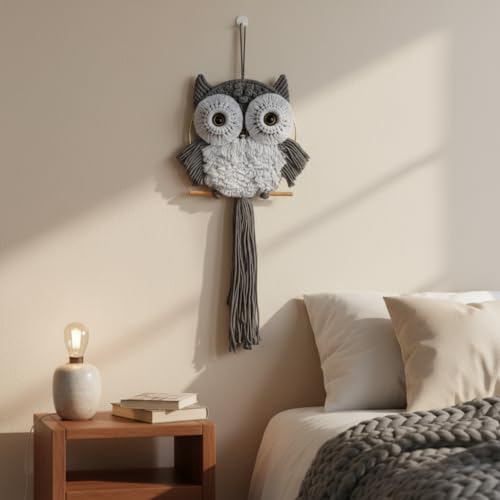 ACEDSGN Macrame Owl Wall Hanging Boho Dream Catcher, Handmade Tapestry