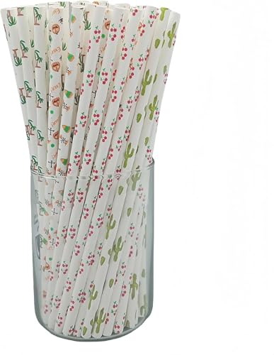 𐫃y[p[Xg[100{ XgCv Xg[ ĝ  Jt O qI  W[X JNe X[W[ p[eB[ a NX}X p[eB[ObY ƒp Ɩp psG (23)