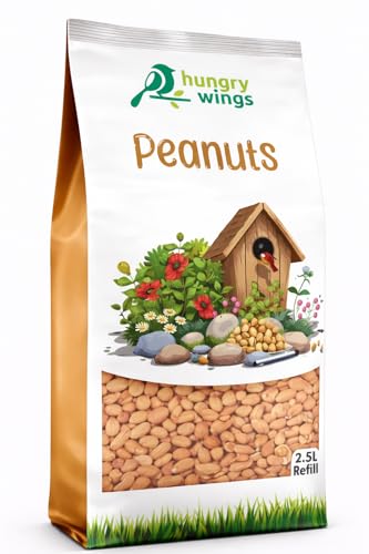 Hungry Wings Wild Bird Food 2.5L Refill Bag (Peanut Kernels)