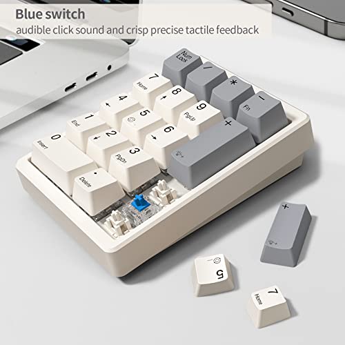 Image of Kisnt Mechanical Number Pad, White Backlit Numeric Keypad with PBT Keycaps Wired USB-C 17 Keys Numpad for TKL Keyboards Laptop PC(Blue Switch) | Wired 17 Keys Hot Swappable for Laptops PC Compact Keyboards