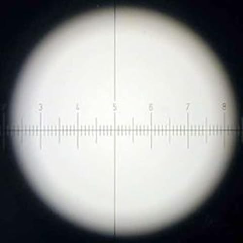 Zestaw akcesoriów do mikroskopu 1 para WF10X/22 lornetka trójokularowa stereo zoom mikroskop okular 30 mm ślizgacze mikroskopu