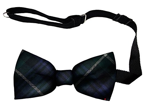 Noeud papillon Lamont Modern réglable, parfait pour vos mariages et soirées habillées