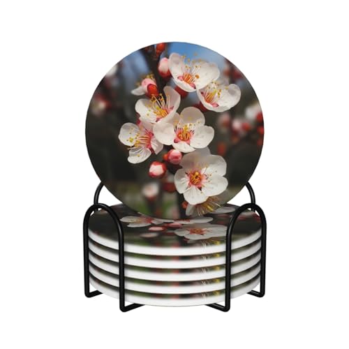 Dessous de verre en liège et céramique premium, protection de table durable