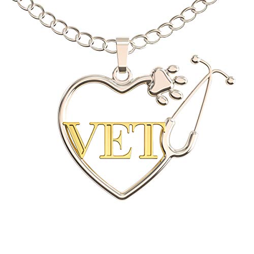 Caring Hands Gifts Vet Necklace - Veterinarian and Vet Tech Stethoscope Dog Paw Heart Pendant - Vet Gift - Silver and Gold