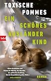 Ein schönes Ausländerkind: Roman - »Diese Geschichten sind Pointen der Rührung, des Absurden, der politischen Erzählung. Und als Gesamtbild ein großes Glück.« Saša Stanišić