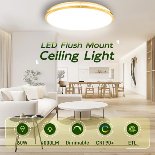 Image of hykolity 32 Inch Oval LED Ceiling Light,60W,4000LM,5CCT