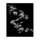 Stupell Industries Curved Blossom Line Canvas Wall Art Design by Brian Carson, 24 x 30