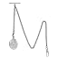 Single Chain Photo Silver