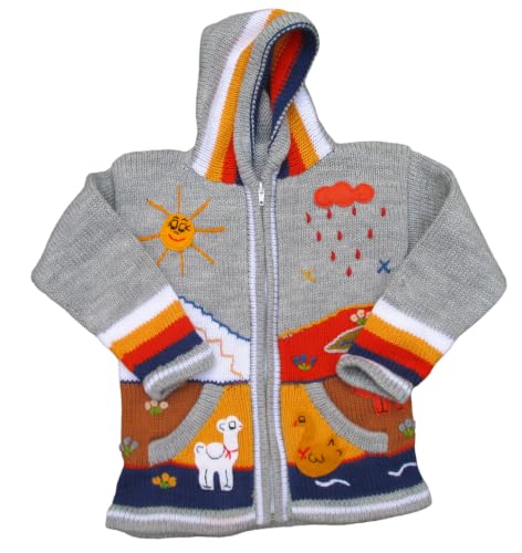 Image of Kids Sweater Handmade Cardigan with Embroidered Details Sweater Hooded Girl Boy Peru Ecuador Bolivia Chile Arpilleras Style.