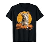 Photo Gallery corgi mummia spaventoso cane di halloween proprietario maglietta Photo Gallery corgi mummia spaventoso cane di halloween proprietario maglietta