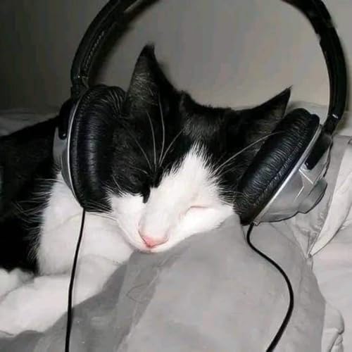 W1sdom has the wisdom! cover art