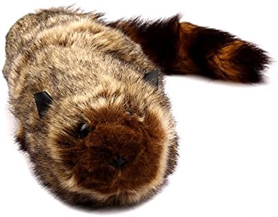 Miniatura 2 de The Rocky Raccoon Magic Robbie Magic Trucos de magia Escenario Street Ilusiones Trucos de trucos Accesorios Accesorios de Aparición Divertida