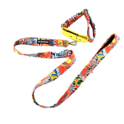 Image of Dog-O-Bow Martingale Collar with Leash | Durable, Adjustable Collar & Leash Set (Medium)