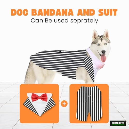 Image of Buraq Dog Tuxedo Dress Suit Bandana Set, Bow tie, Wedding Party Suit, for Small Medium Large, Male and Female Dogs Golden Retriever, Labrador, shitzu, Pug (Black Strip Line, M)