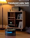 BEMOONY Katzenbrunnen, 3.2L Trinkbrunnen für Katze, Katzenbrunnen für Katzen leise Pumpe mit Led, Tiefenfilterung, Durchsichtiger Wassertank, Geeignet für Haushalte mit Mehreren Haustieren, Schwarz