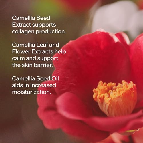 Thumbnail image for Shiseido Ultimune Power Infusing Serum