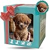 Tiomion 2026 Realistic Puppy Toy - Interactive Hopping & Walking Electronic Pet with Barking, Tail Wagging & Lifelike Sounds, Soft Plush Christmas/Birthday Gift for Kids (Brown)