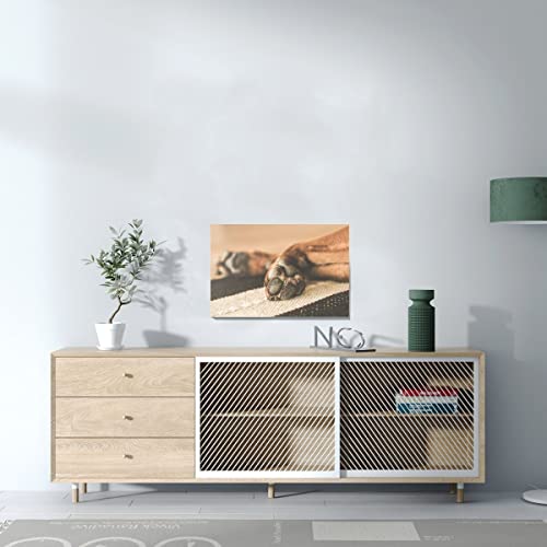 Tableau déco patte de chien pour sublimer vos murs vides - 3