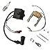 Podoy Motorized Bicycle Magneto CDI Ignition Coil Spark Plug for 2 Stroke 48cc 49cc 66cc 80cc Engine Bike Motors