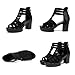 Womens Chunky High Heel Fish Mouth Gladiator Sandals Back Zipper Fashion Comfort Cutout Open Toe Non-slip Rome High Heels Sandals for Beach Dressy Party Dress (Black, Adult, Women, 9, Numeric, US Footwear Size System, Medium)
