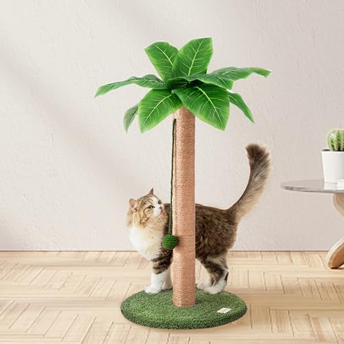 Meowoou 60 cm Cat Scratching Post Cute Scratcher Kitten with Sisal Rope for Indoor Cats Palm Tree Scratch Pole with Dangling Balls for Small Medium Large Cats