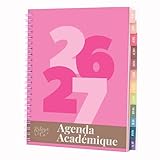 Rileys Agenda 2026 2027, Agenda Scolaire & Professionnel, Planificateur Journalier, Hebdo & Mensuel, Carnet, Reliure Double Spirale, Juil 2026–Juin 2027 (20 x 15 cm, Rose, Épais, en français)